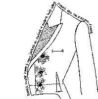 Click to enlarge&hellip;