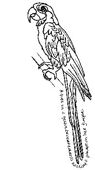 Click to enlarge&hellip;