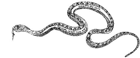 Click to enlarge&hellip;